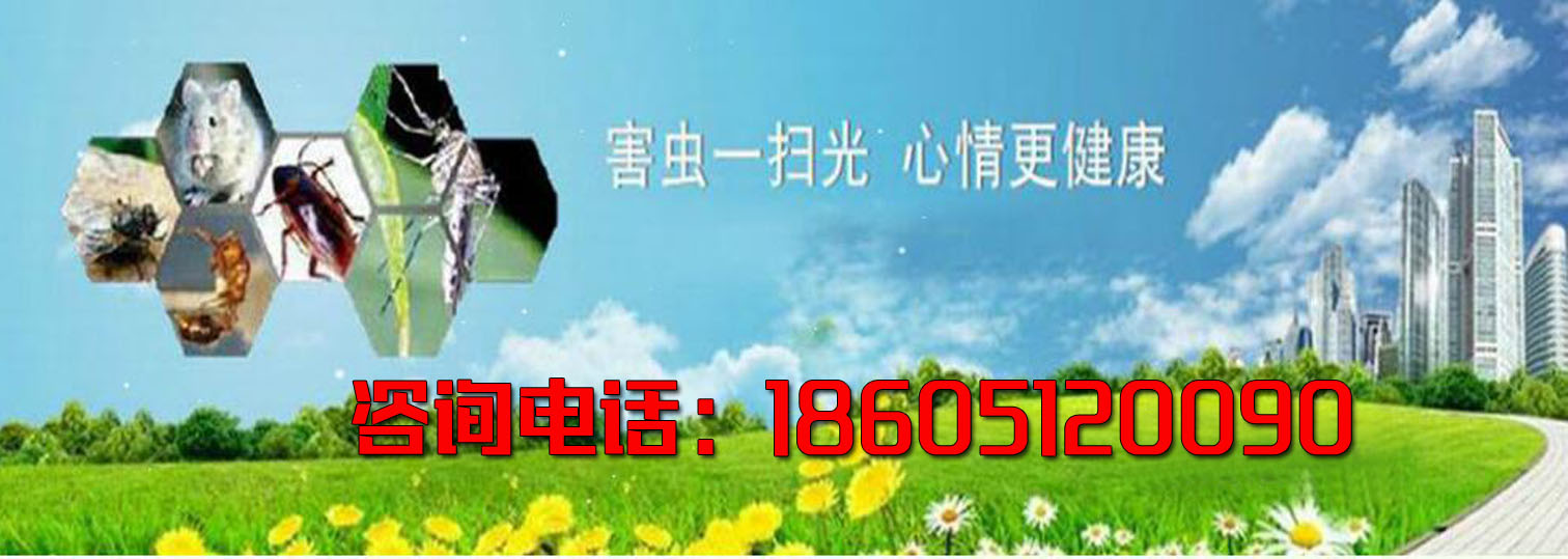 1536154113437223