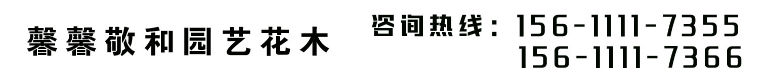 1537364304616977