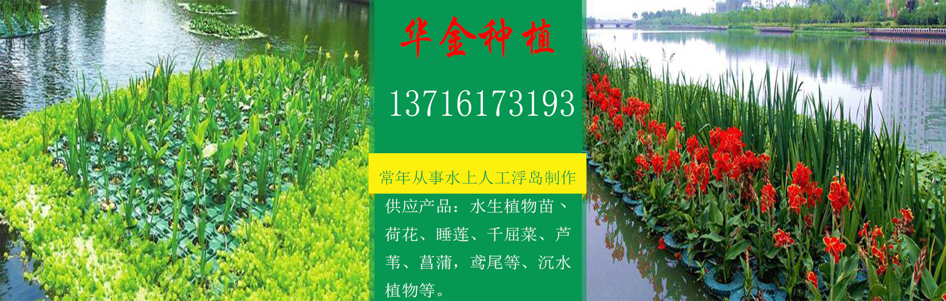 1551687033604422
