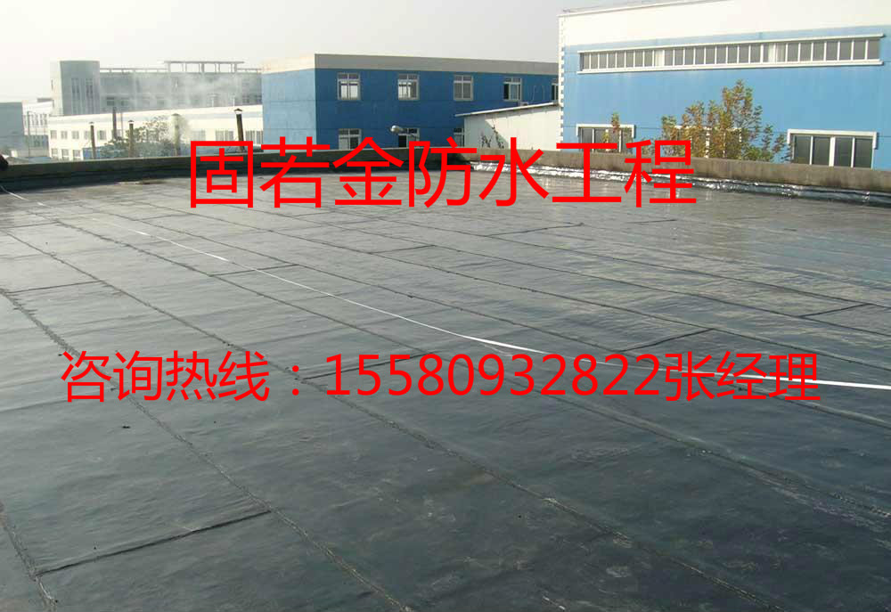 1560569388352431