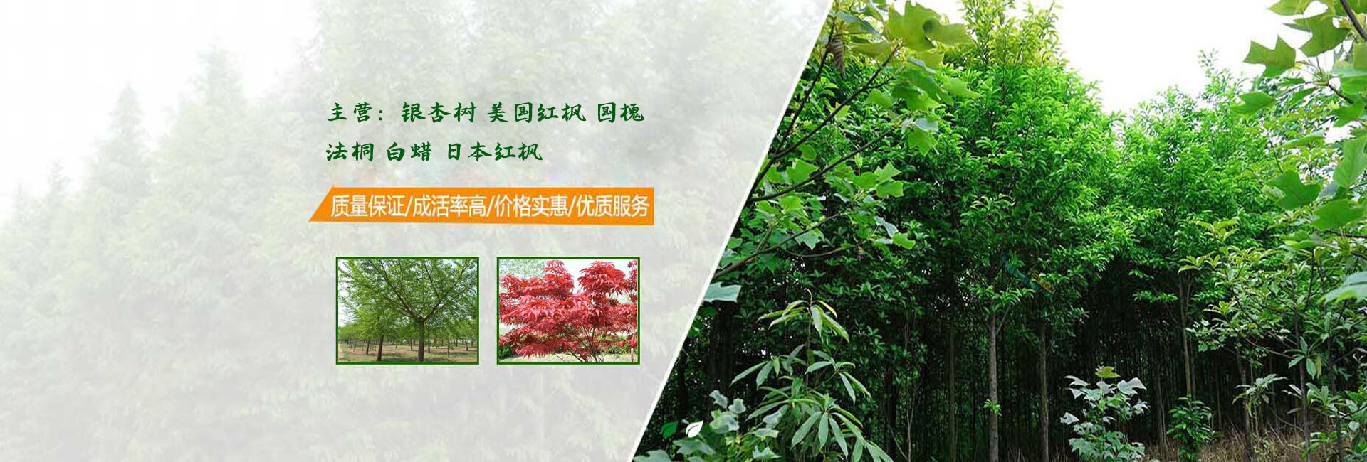 轮播图1.jpg