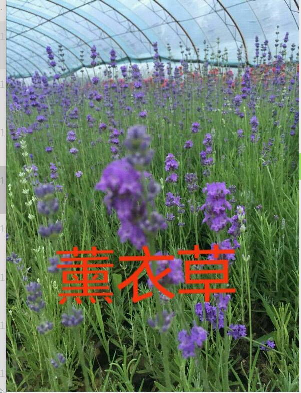 QQ截图20180823145058.jpg