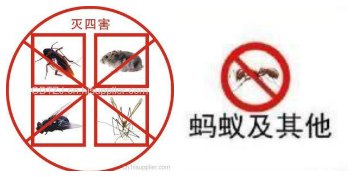 拼图.jpg