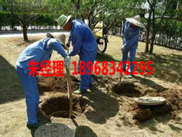 1456802808_副本.jpg