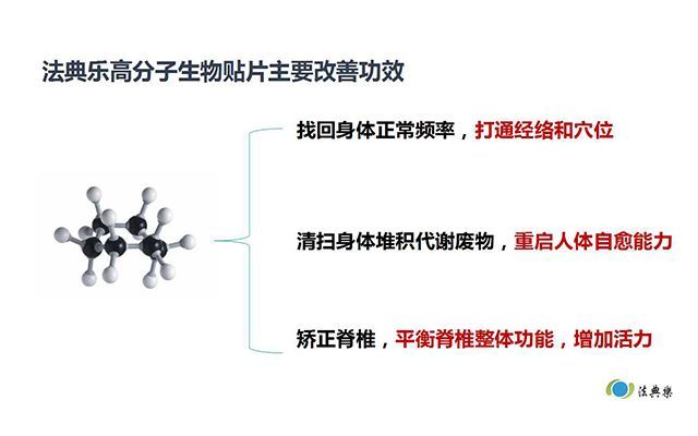 法典乐4.jpg