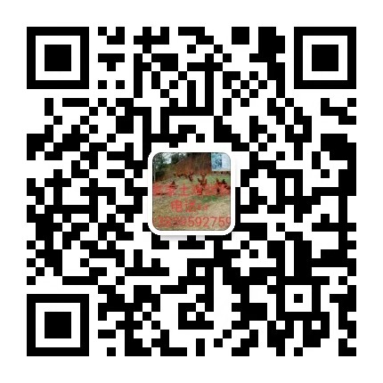 910371097924041443.jpg