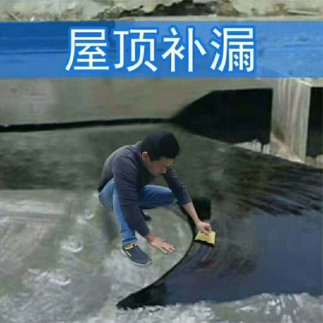 649219472456496846.jpg