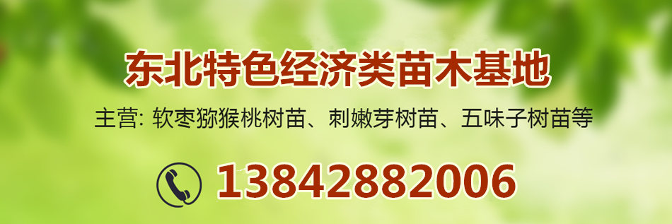 广告2.jpg