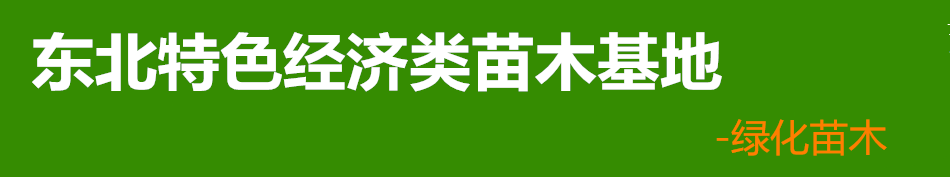 QQ截图20191016170731_副本.png