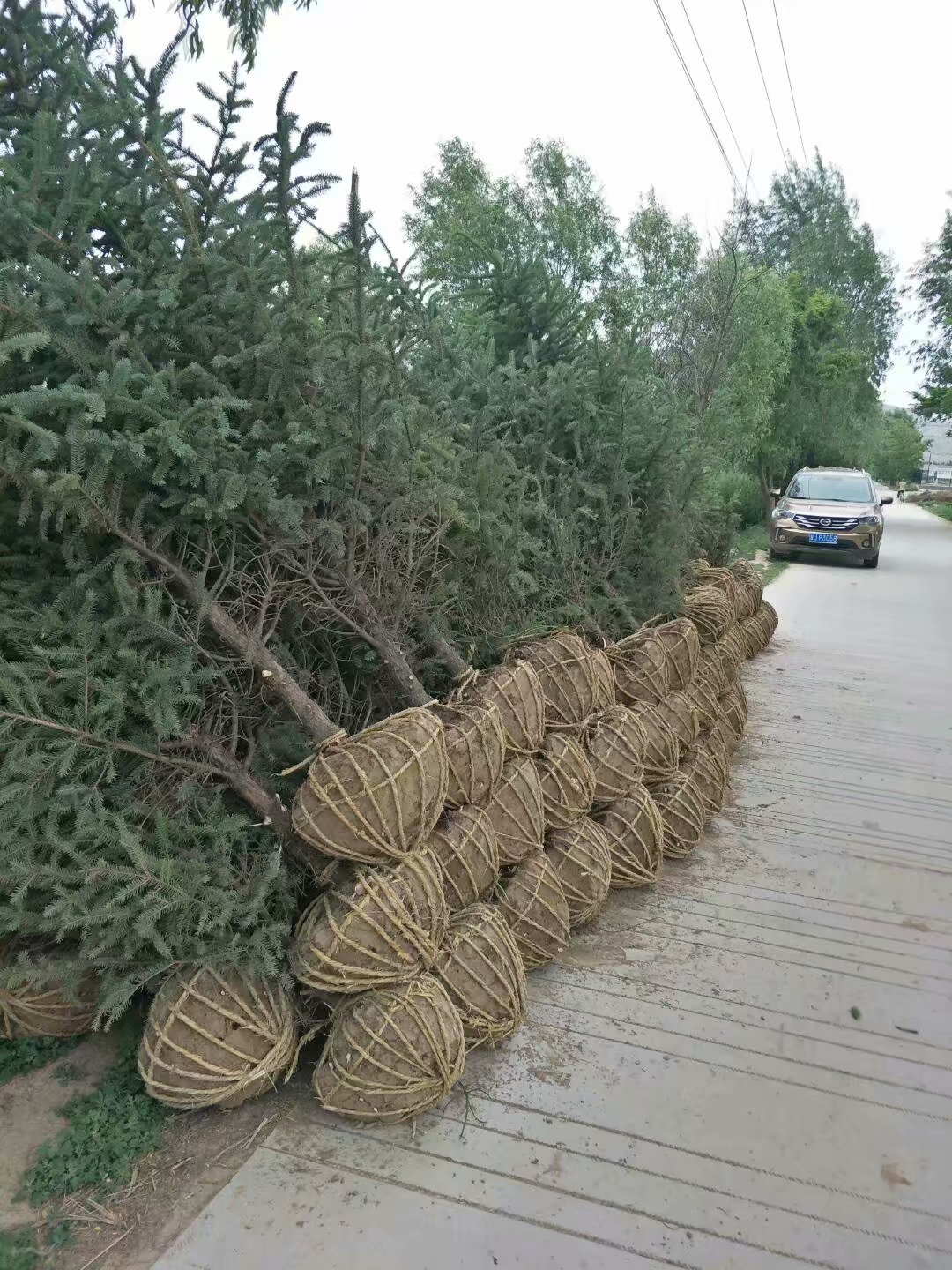 好好.jpg