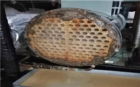 微信截图_20210608163232.jpg