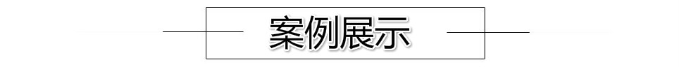1.案例展示.jpg