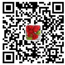 微信截图_20240723213740.png