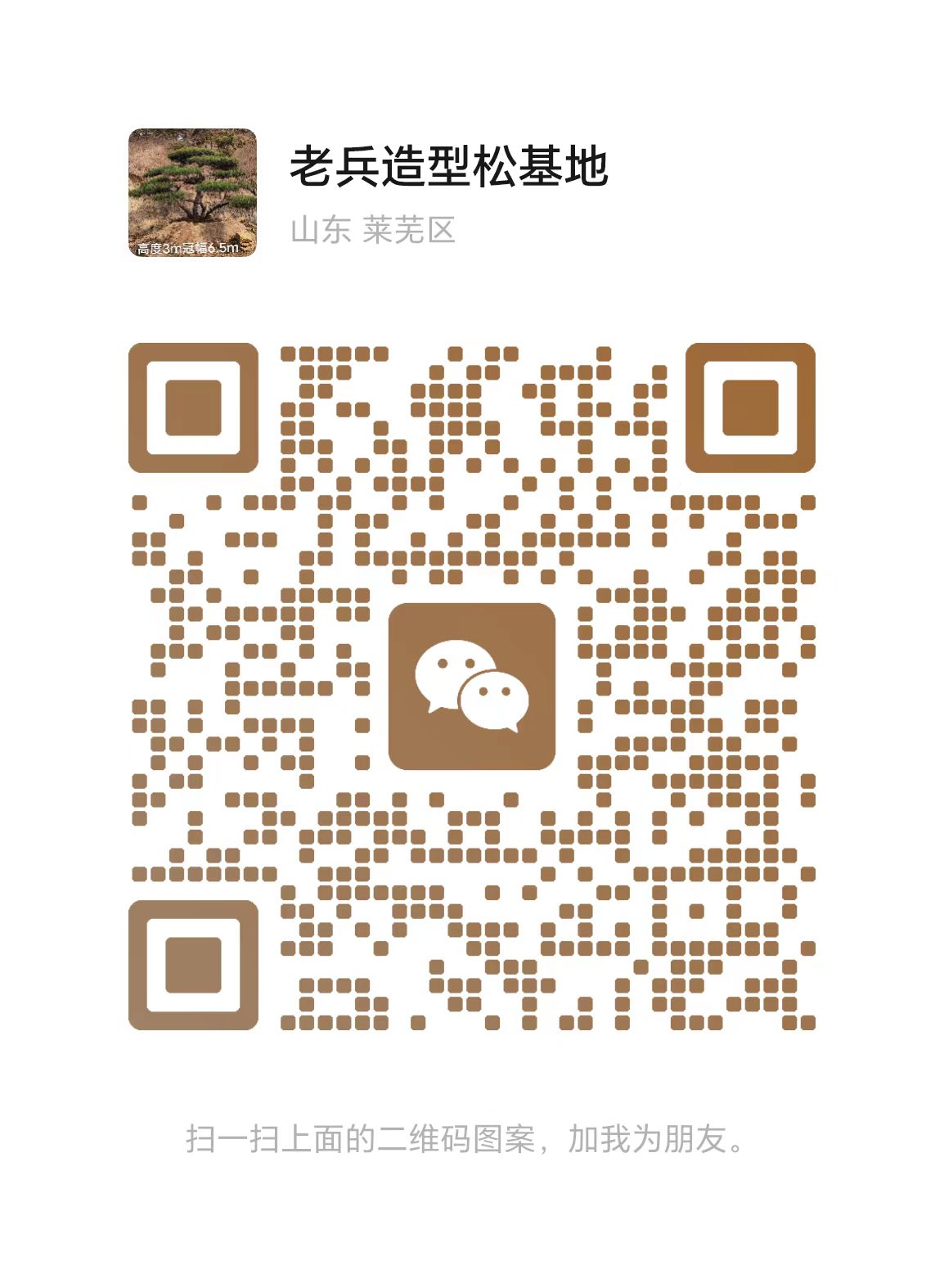 f12e5ddf-82ac-432b-85b8-e44beedbdc9c.jpg