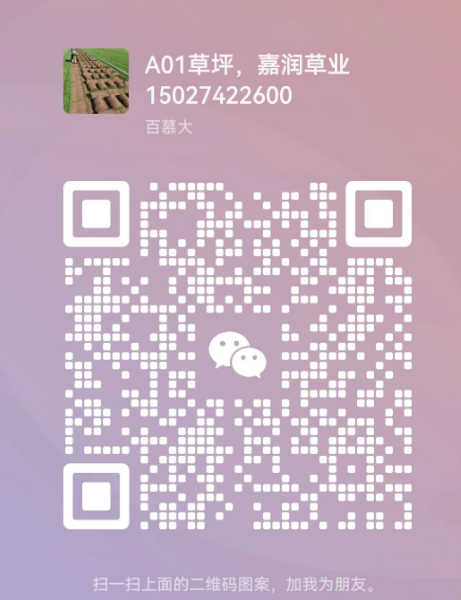 1740715387399.jpg